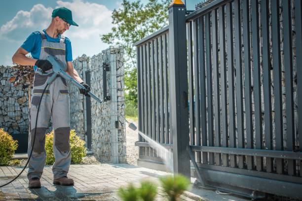 Best Solar Panel Cleaning  in Taylor, AZ