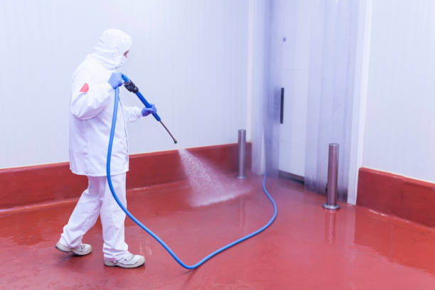 Professional Pressure Washing in Taylor, AZ
