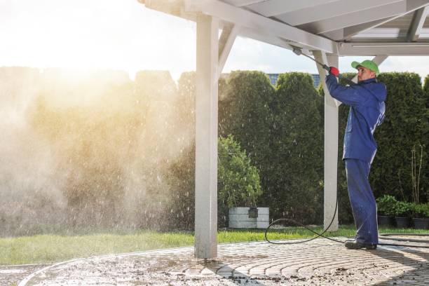 Solar Panel Cleaning in Taylor, AZ